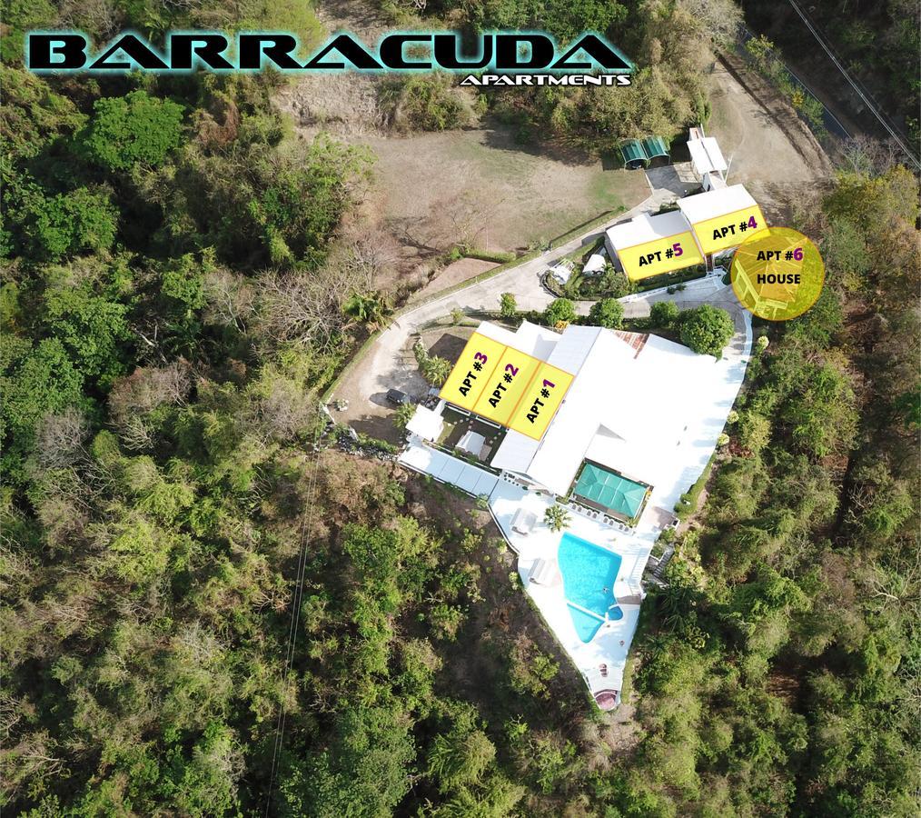 Barracuda Apartments Sámara Exterior foto